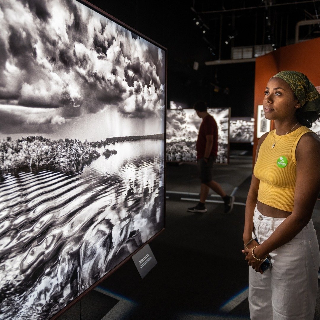 Annenberg Arts tweet media