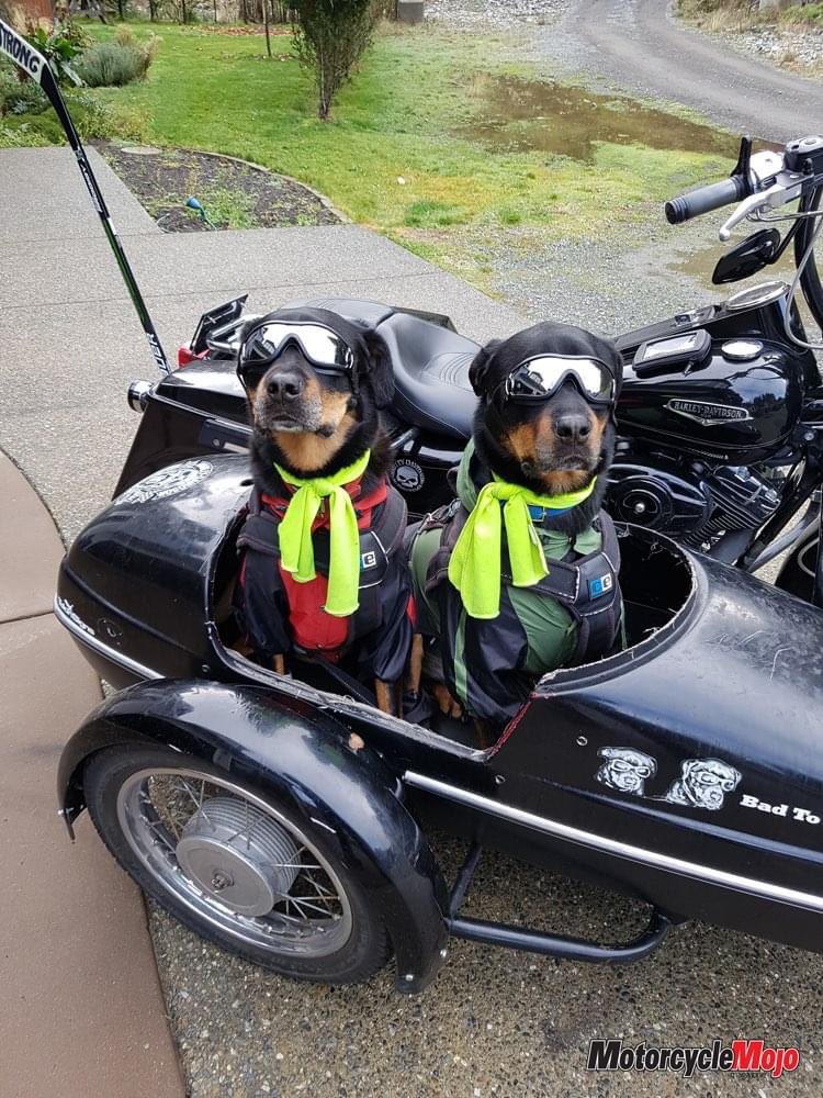 DK🇺🇸🦅🇺🇸 tweet media