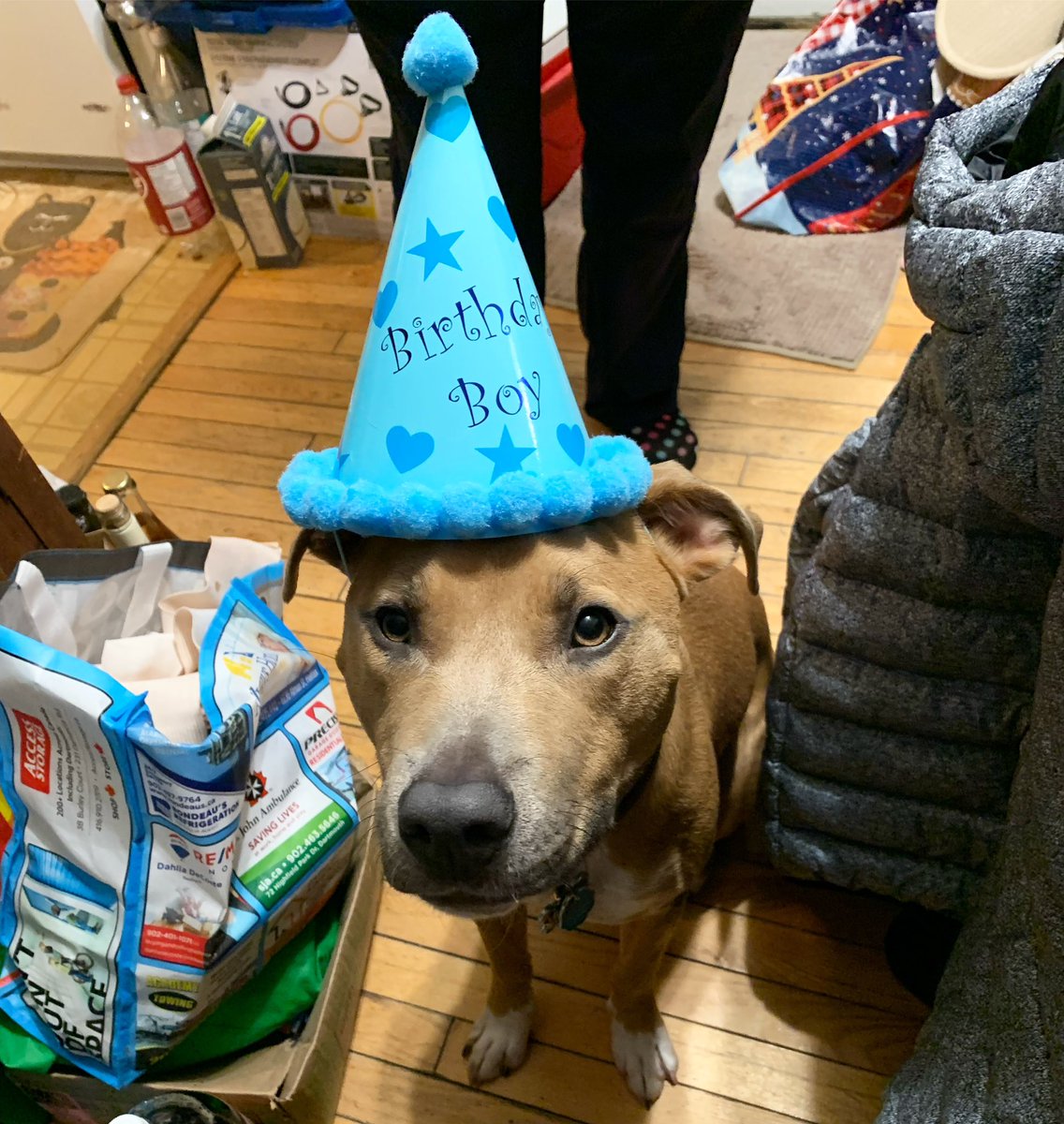 Spacesharkcos's tweet photo. Fuck Valentine’s Day. The real holiday is that it’s Marlin’s birthday https://t.co/Hszc7WGqXI