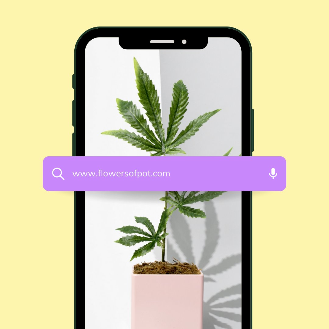 Sometimes, buying upfront may be cheaper, but ongoing maintenance is always pricey. 🌿
Real plants die and need to be replaced. Or, it can take years for a real plant to reach its full height.🌿
This can take years!

Unlike real plants, artificial plants arrive fully mature. 🌿