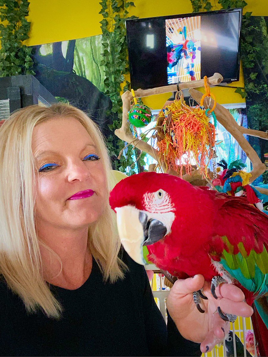 tracicarroll_'s tweet image. Happy 24th birthday Hatch 🐣 Day RUBY!!! I ❤️you so much! I can’t imagine my life without you. I have loved &amp;amp; cared for you since 3 months old. You’re my Valentine 💝 Baby. She picked out her party toy and is having a super fun day!! #loveyourparrot #tracicarroll