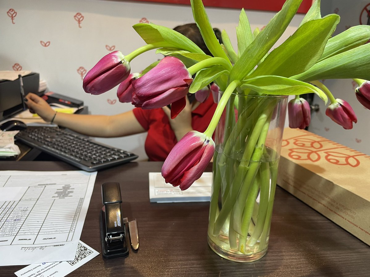 javier_os's tweet photo. @Rosatel_Peru ayer ordené en su tienda online una caja de tulipanes para mi esposa en su sucursal de Cajamarca. Los amarillos son los que promocionan en tienda y los rojos los que recibí, en pésimo y estado. Esta es la cálida que se espera de sus productos? https://t.co/Ze3f9l4WA2