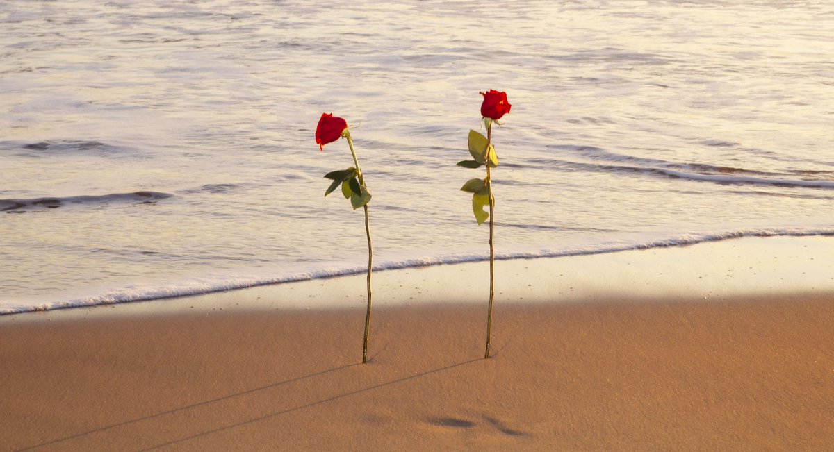 Happy Valentine's day to all the lovers out there! 😘