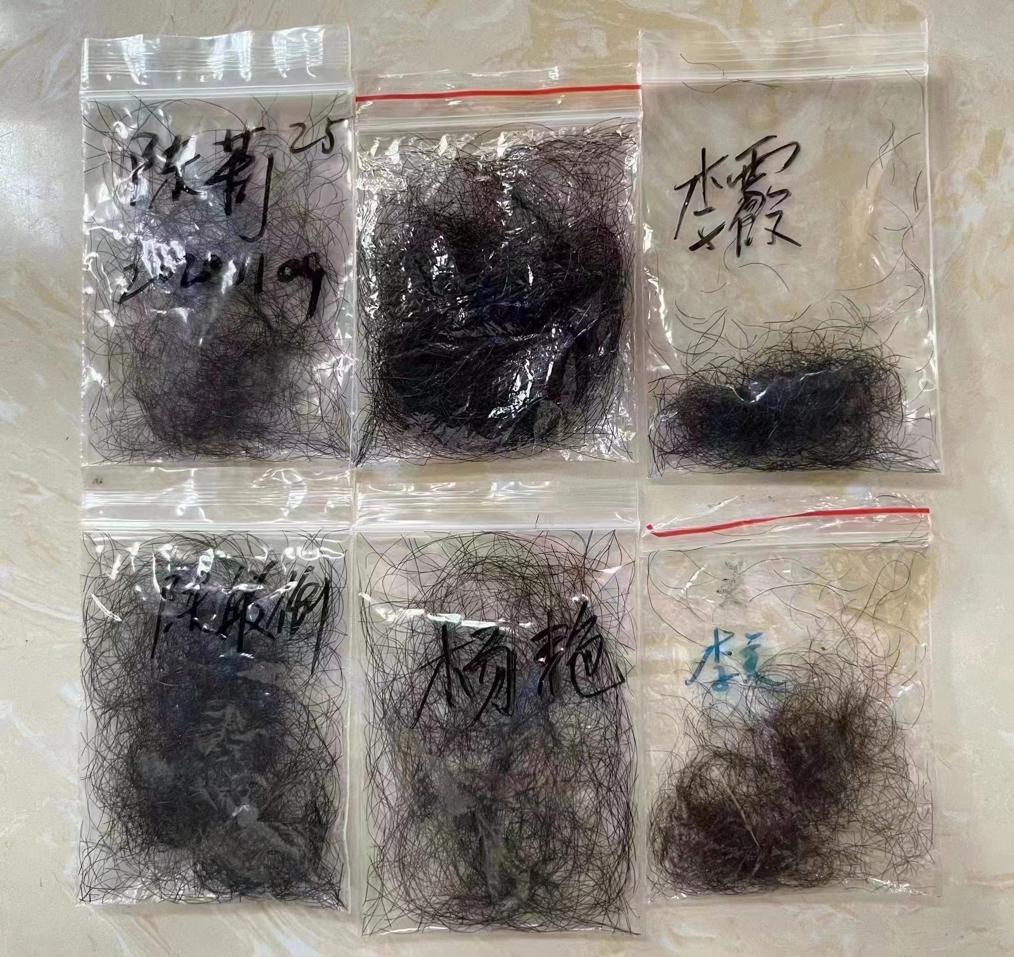 阴毛 