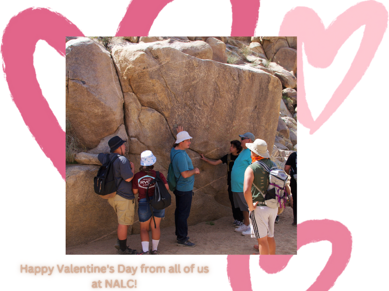 NALCorg (@nalcorg) on Twitter photo 