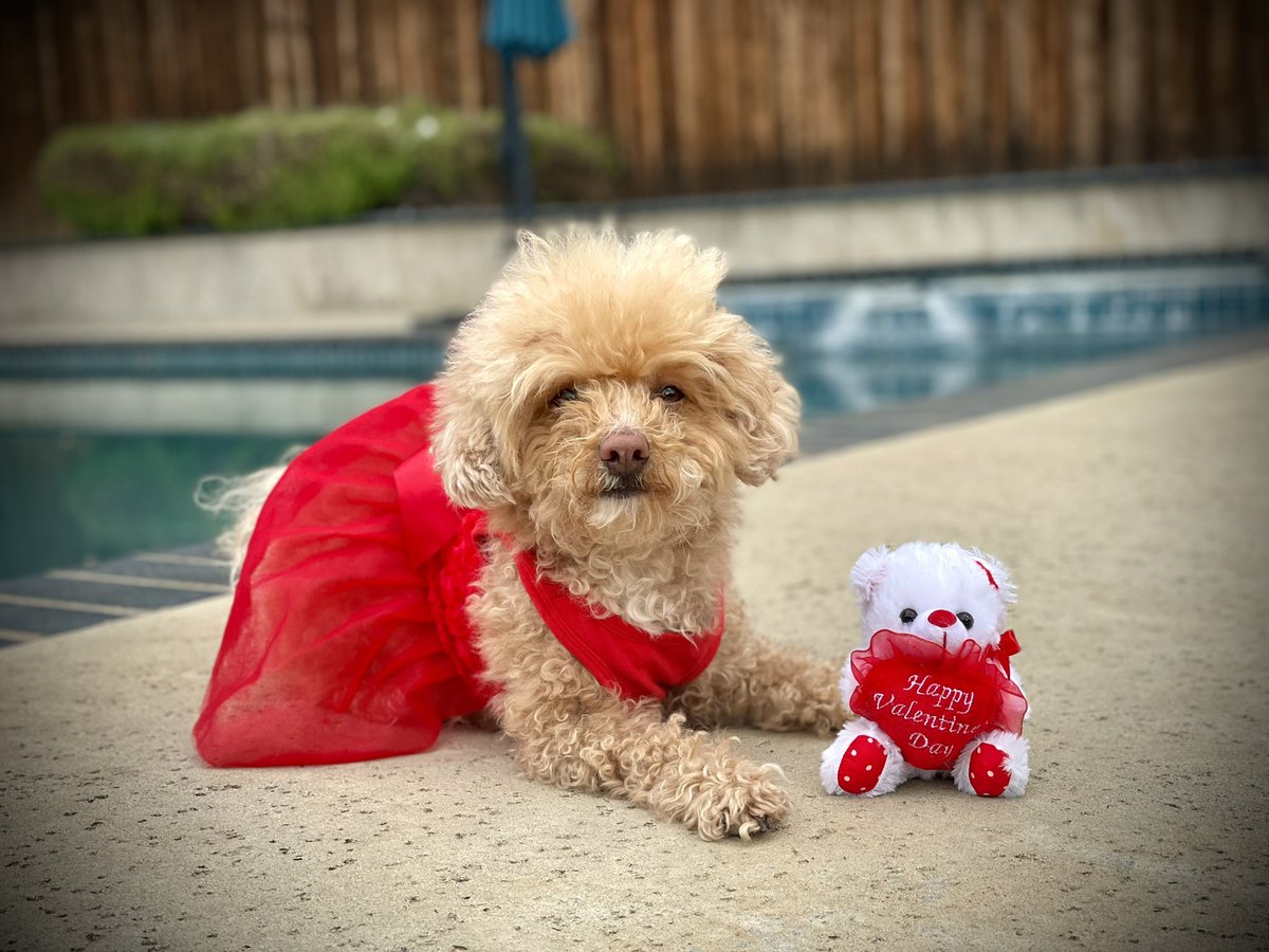 Tracey Leong tweet media