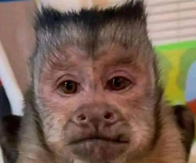 Yo viendo cómo todos reciben regalos el 14 d febrero 🙂