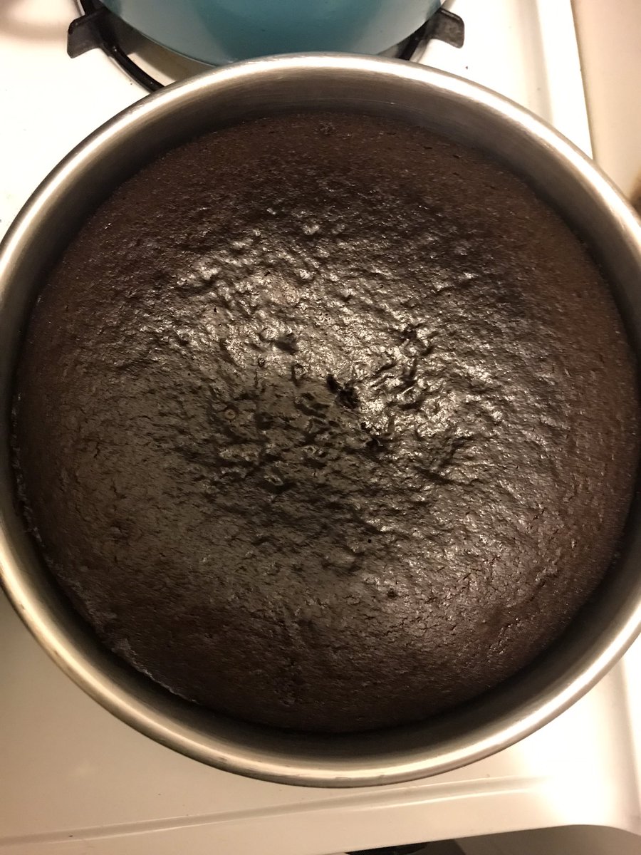 Buttercup made a delicious #chocolatecake #nodairy #noeggs #justdelicious @apowerfulbeat