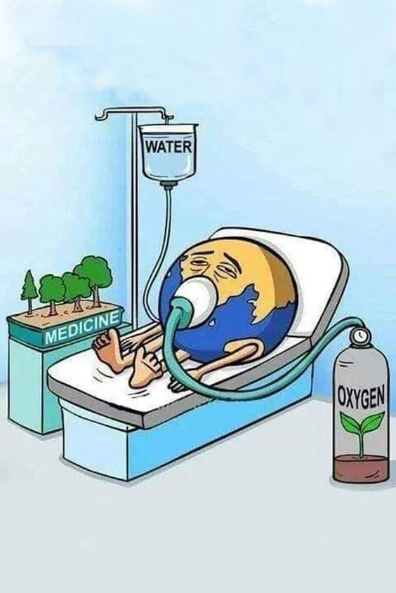 There is no place to live other than Earth; save the Earth!🌍 #saveearth #nature #gogreen #ecofriendly #environment #savetheplanet #Earth #climatechange #savewater #zerowaste #savenature #globalwarming #india #green #saveenvironment #Recycle #plasticfree #sustainability