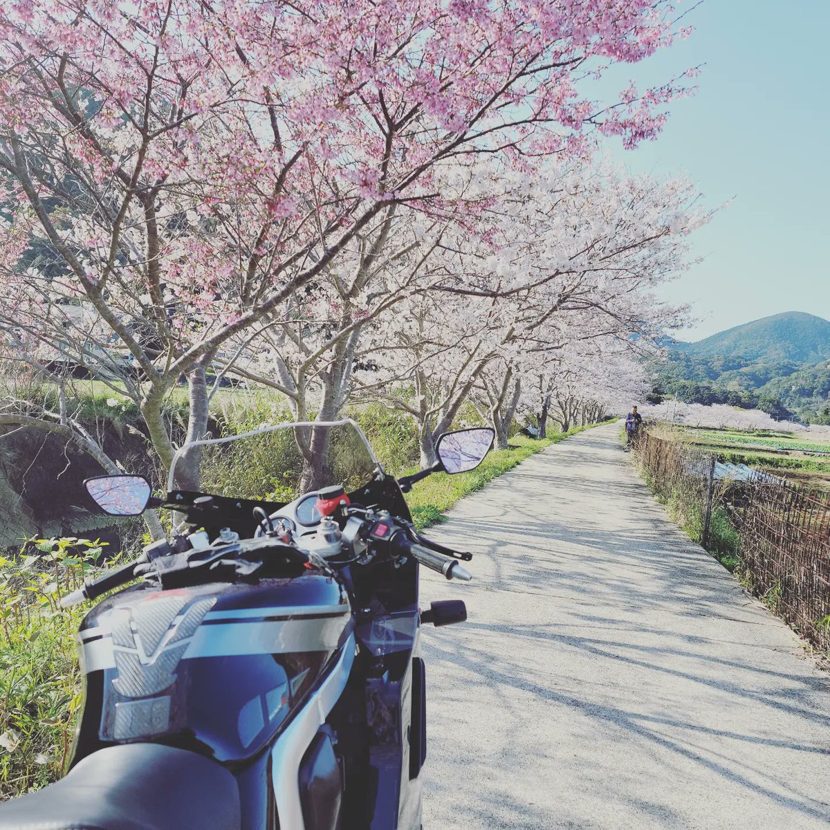 Y39556's tweet photo. 名前：あおきん(あだ名)
性別：男
年齢：1995年式 長崎
車種：GSXR1100、ジクサー250SF
好き：スイーツ巡り、写真
一言：誕生日迎えたので更新しました😁
こんな私で良ければみんなと走りたいです😊
長崎の方声かけて〜（笑）
#バイク好きな人と繋がりたい
#バイク乗りとして軽く自己紹介 https://t.co/ld5CsKo9fW
