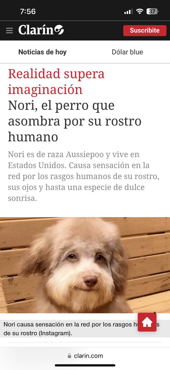 norichiban's tweet photo. Hello @clarincom, can you please add/link my Instagram username @norichiban to your article about me? https://t.co/0QUvJGf5aq