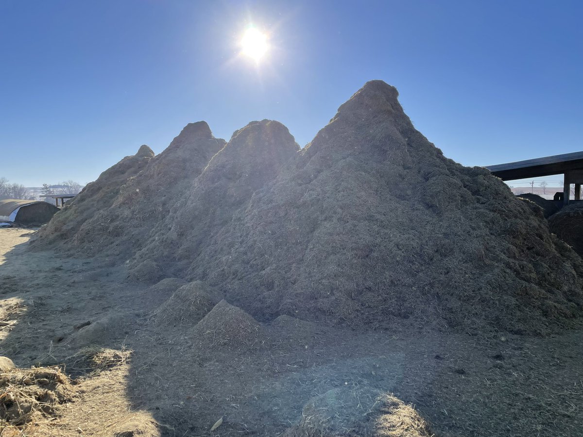 Thursday is in the books. It was a little breezy but the sun was shining and we were grinding. Keep calm and Grind on. 319-442-3138