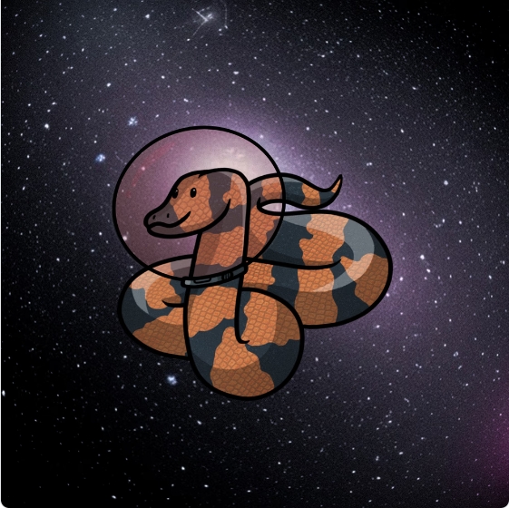 Laz 🦘 🇦🇺 tweet media