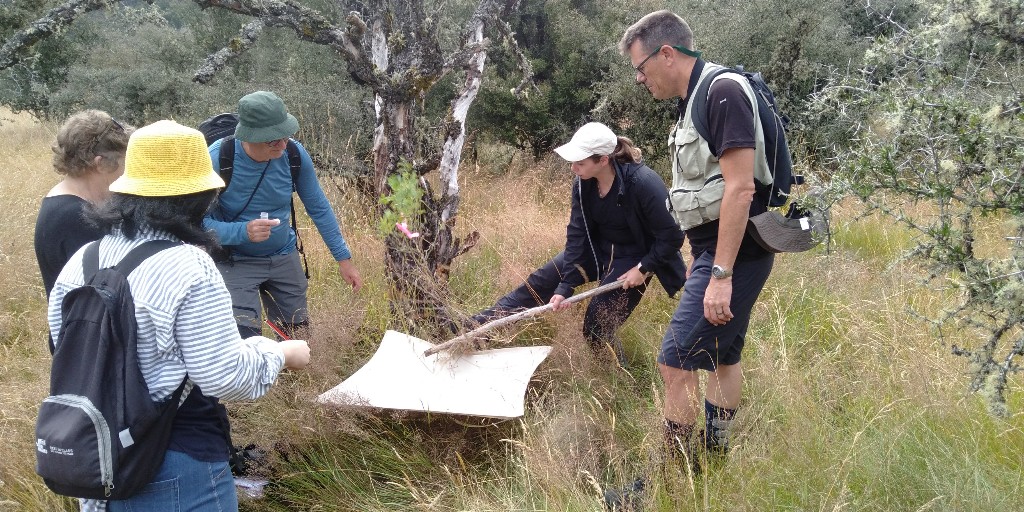 LincolnUniNZ's tweet photo. Great to see our third year ecology and soil science students out in the field, finding solutions to real-world issues and protecting biodiversity. They're at Boyle River, being guided by staff on a range of topics. Learn more about LU science programmes: https://t.co/R8jRQY40ie https://t.co/l8rDRqBDML