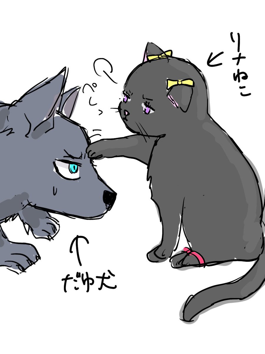 リナ猫にペチペチ怒られてるダユ犬 