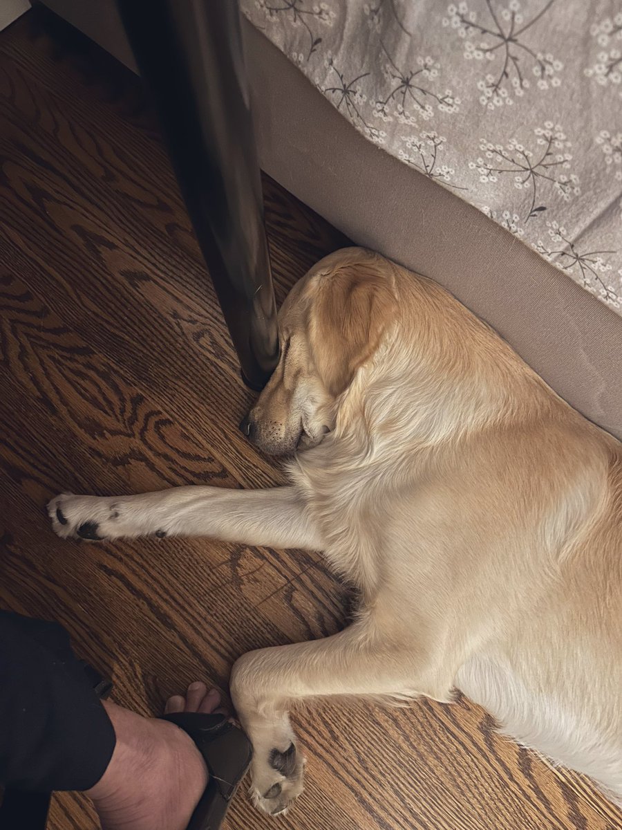 He literally likes to sleep like this!!! 😂