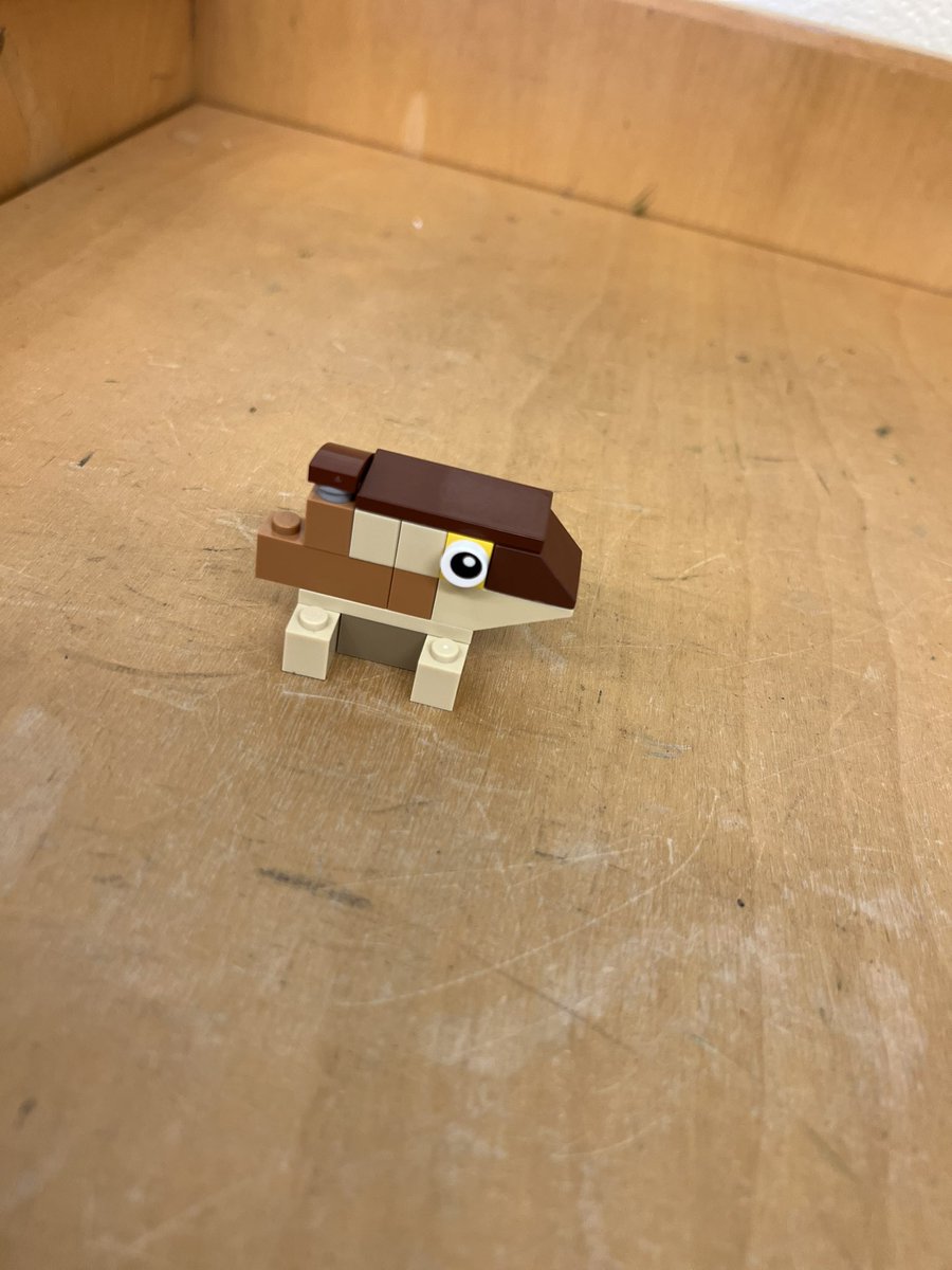 MissWarren2019's tweet image. LLC fun today #lego #worldflags #storytime #Groundhog @SHA_NL @NLESDCA