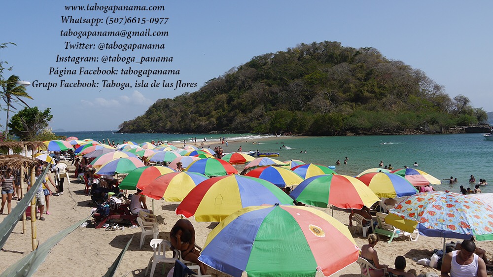 Taboga Panamá 🇵🇦 tweet media