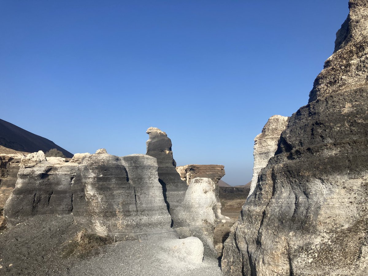 Ines Romera tweet media