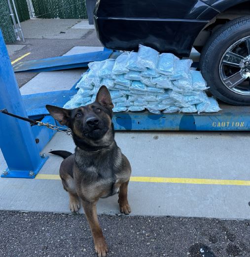 USBPChief's tweet photo. $4M worth of Fentanyl Seized in San Diego Sector!

That's enough Fentanyl to kill over 30 million people! Keeping these drugs from reaching our communities is a top priority! In Jan., we saw a 300% increase in Fentanyl seizures compared to a year ago.

https://t.co/G0JlssD25r https://t.co/EP8cp1pKjS
