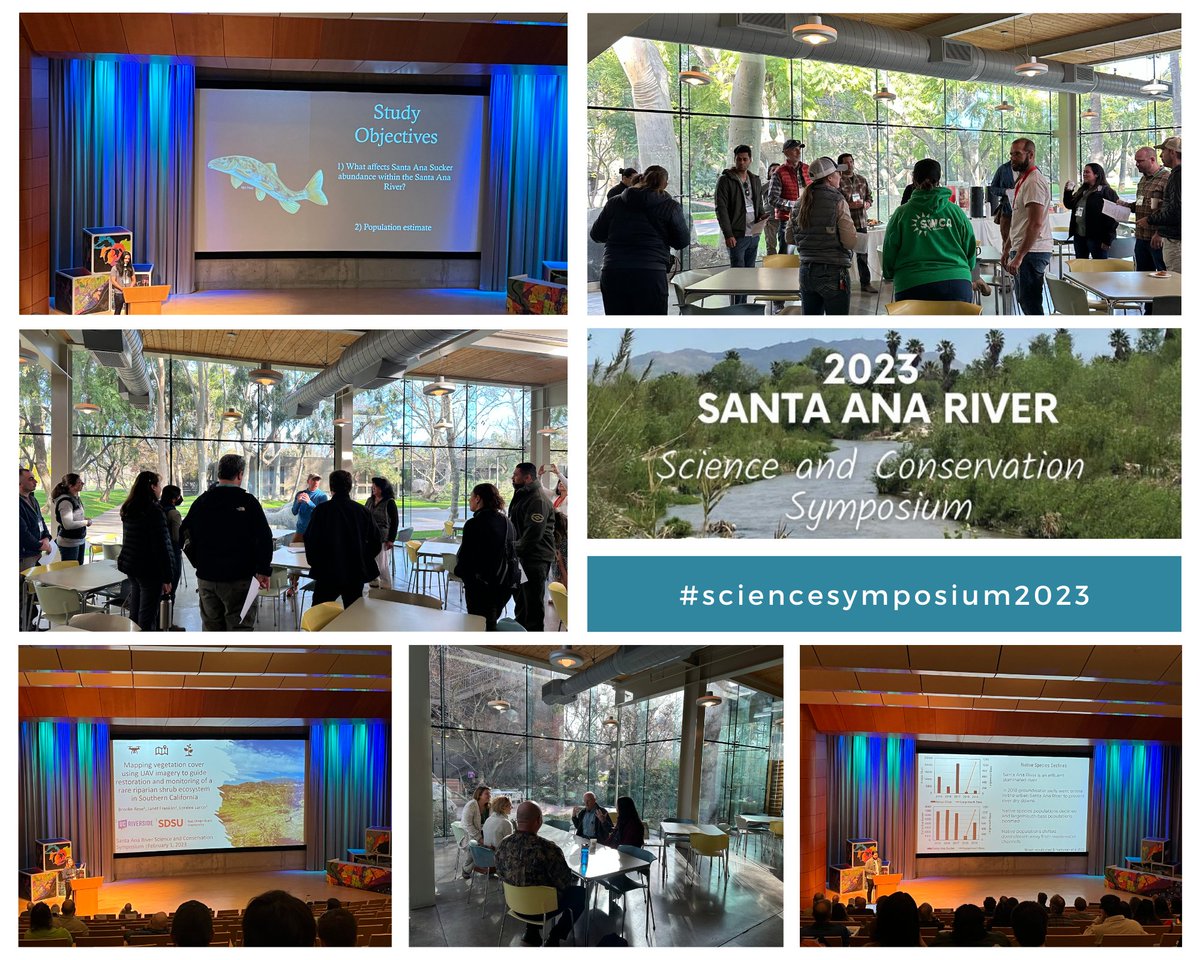 SBVMWD's tweet photo. The 2023 SAR Science and Conservation Symposium was a success!
Bringing together diverse groups of researchers, environmentalists, and conservation practitioners to educate the community. 
#sciencesymposium2023 #sciencesymposium #SBVMWD #Esri #santaanariverwatershed https://t.co/OY5jYStLOm