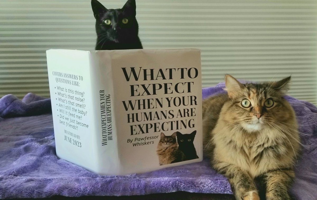 They are befuddled. Bamboozled. Maybe slightly aghast.