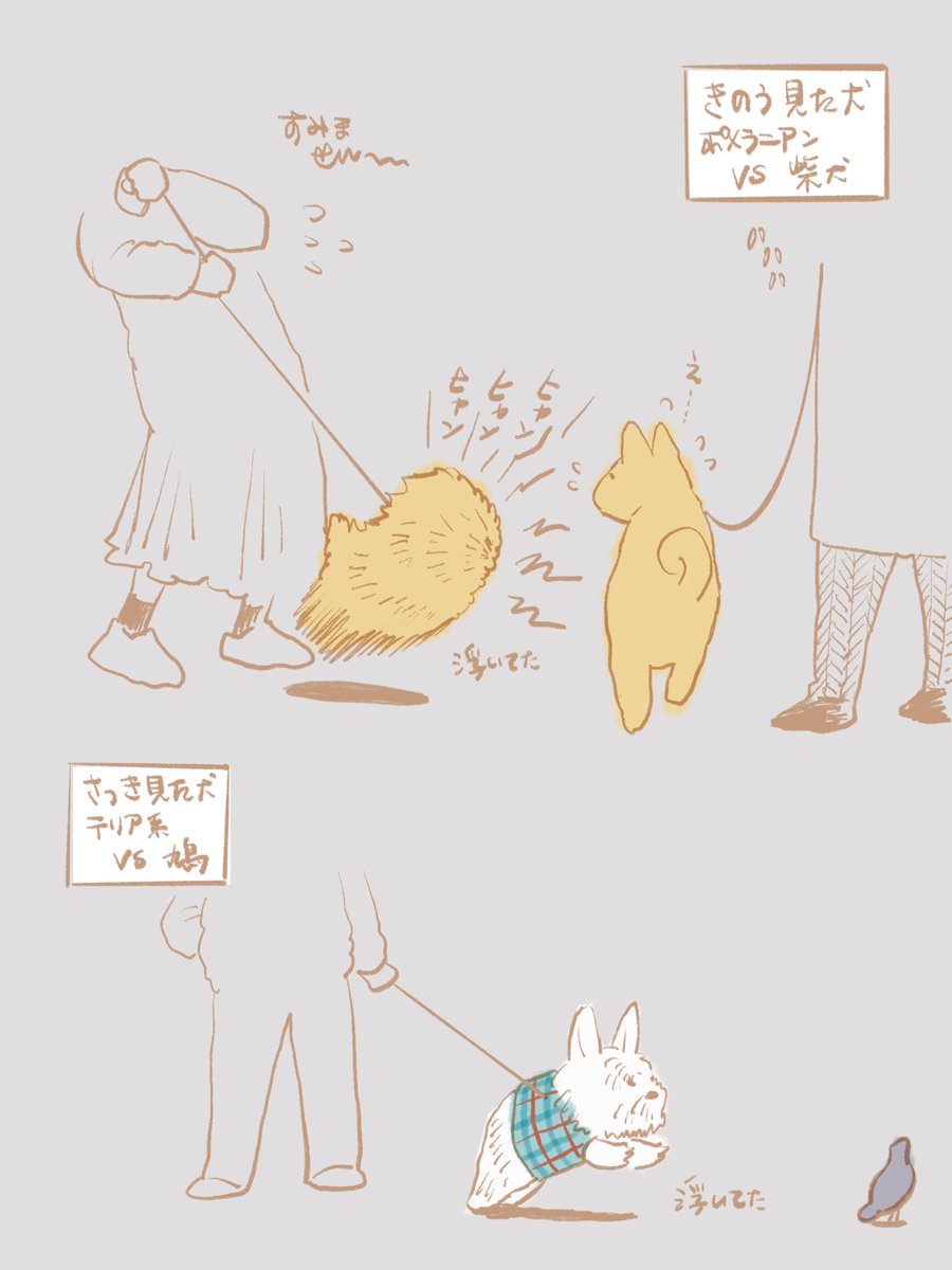 犬日記 