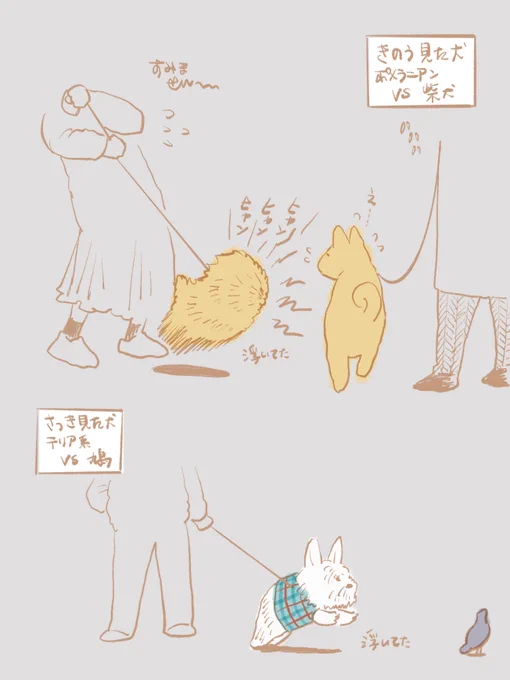 犬日記 