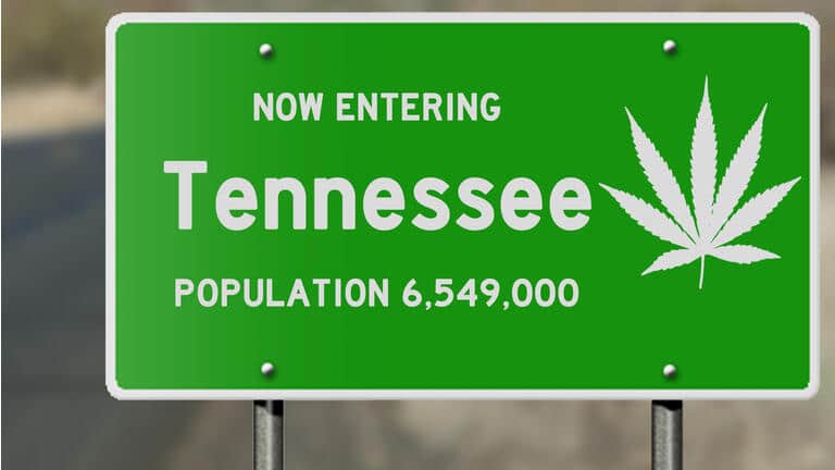 The Tennessee Medical Cannabis Act has been intro'd to the General Assembly this session, seeking to legalize medical cannabis. It would allow cardholders to possess 2.5 oz., and products cannot contain <2,000 mg of THC. #krushmedia #letskrushit #cannabismarketing