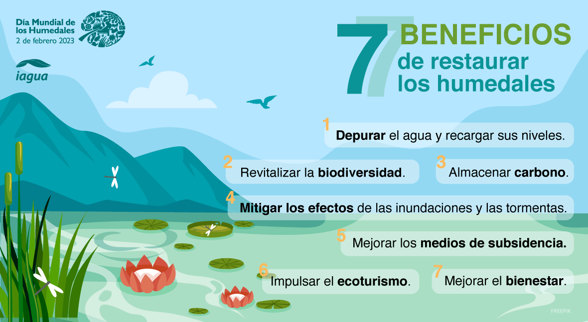 EdAmbiental Corbidi tweet media