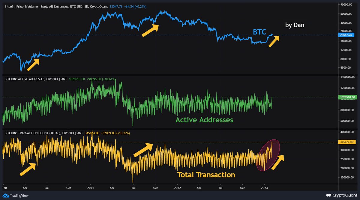 Crypto Dan tweet media