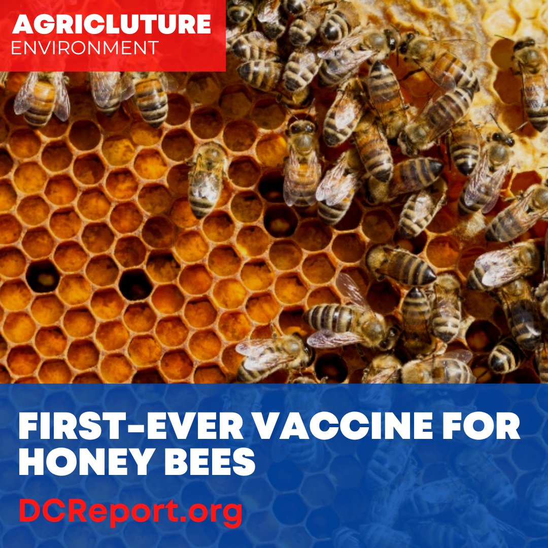 DCReport On Twitter Peruse All Of Our Articles On Environmental dcreport-on-twitter-peruse-all-of-our-articles-on-environmental