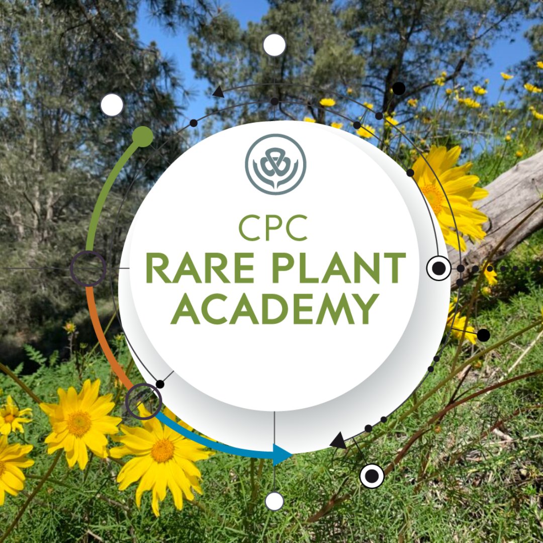 The CPC Rare Plant Academy hosts a wealth of resources & is a valuable source of knowledge for all in #PlantConservation, including students, emerging professionals, experts, & anyone interested in helping #SavePlants 🌻
Explore the RPA: saveplants.org/cpc-rare-plant…

📸 Joe Davitt