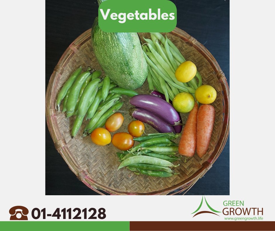 KARESAorg's tweet photo. Vegetables:
✅ We are taking order for fresh green vegetables
✅ Get our vegetable is chemical free locally grown in Patalegaun at your doorstep
To order leave a message or visit our website:
https://t.co/Be64wEdUMz
#GreenGrowthLife #Nepal #healthylifestyle #localfoodsystem https://t.co/WaUVY3PRSf