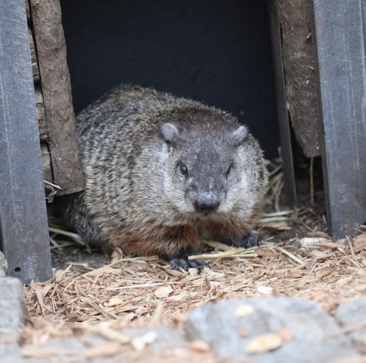 Robert Fendrick tweet media