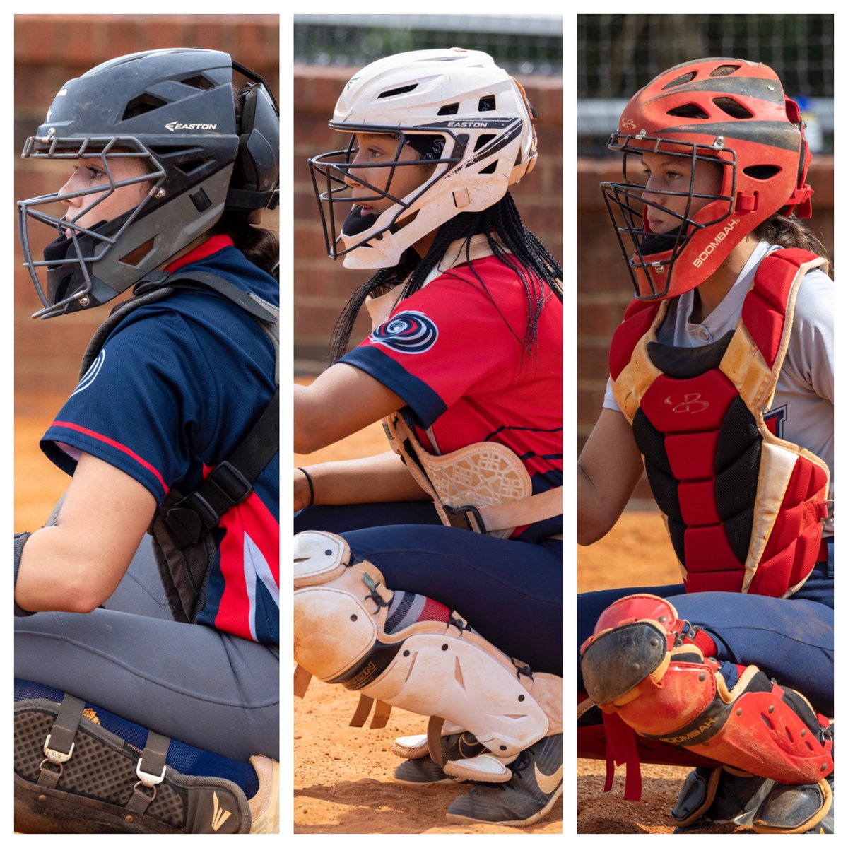 PROV Softball tweet media