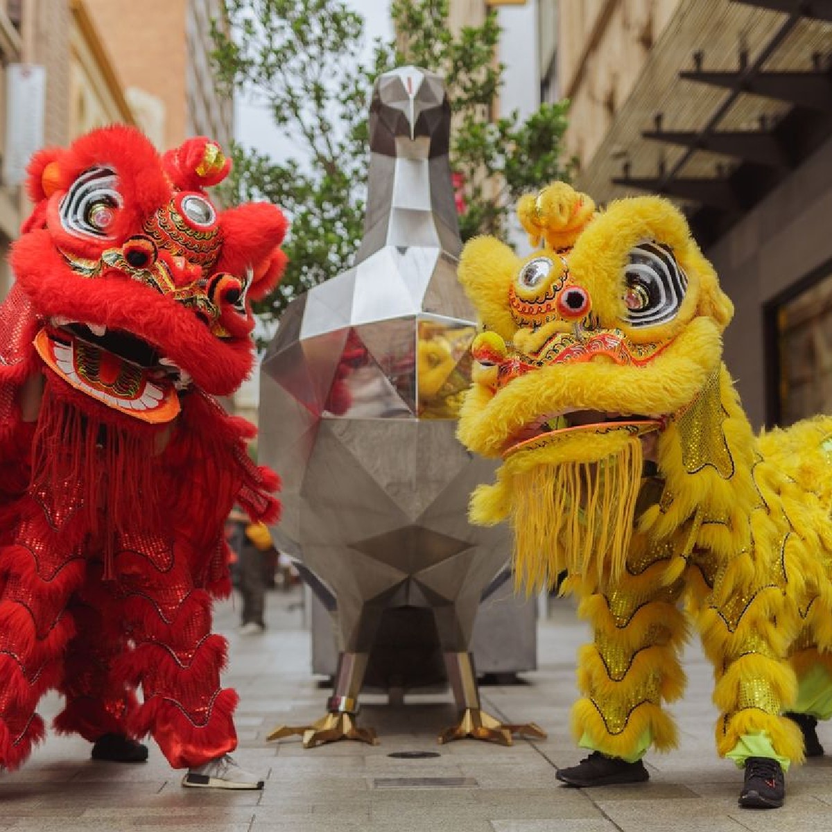 Celebrate Lunar New Year in Rundle Mall today with lion dancing, beauty rituals, lucky red envelopes and more between 12:00 pm - 6:00 pm. 🐉🏮

See more at rundlemall.com/lunar-new-year

#ADL