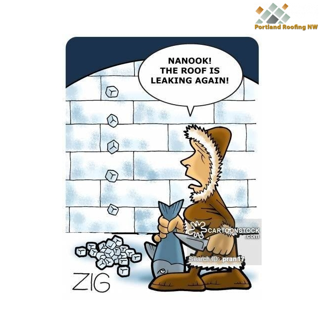 RoofingNW's tweet photo. This gave me a good laugh..time to fix that roof!  via: https://t.co/QbAwUBVUz8 https://t.co/x3fjhKzd7g