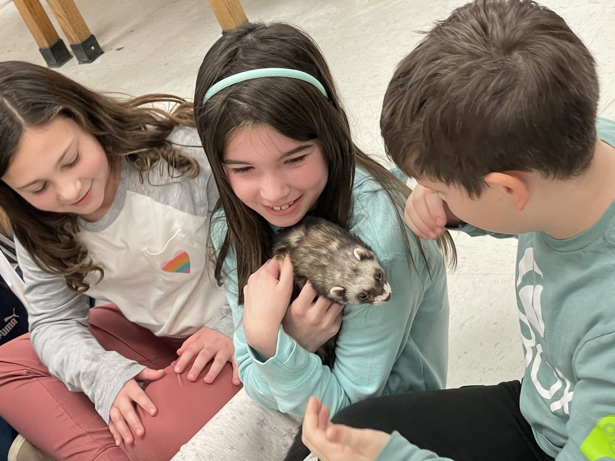 Vets in Training is back! I’m so thankful we can bring these incredible programs to our students! Their smiles say it all! 💚🌟#vetsintraining #housepaws #stswarriors