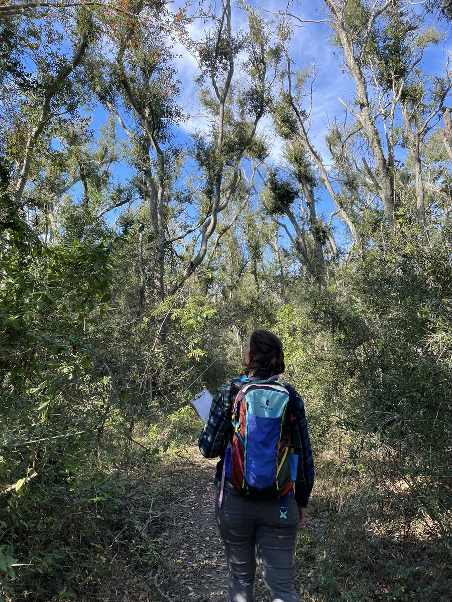 Connor Lee tweet media