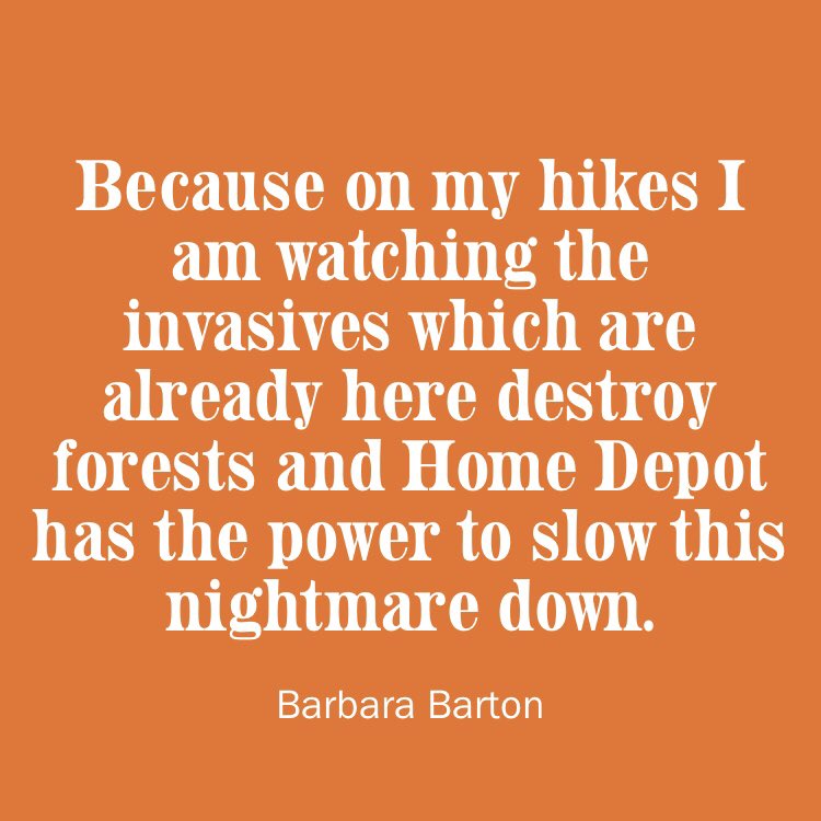 #JustSayNo <a href="/HomeDepot/">The Home Depot</a> Sign the petition change.org/homedepot via <a href="/Change/">Change.org</a> #invasiveplants #gardening #ecology #environment #habitat #wildlife #COP15 #biodiversity