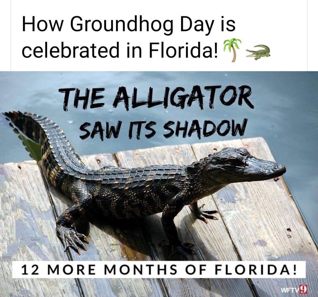 Marion Spark (@sparkmarion) on Twitter photo 