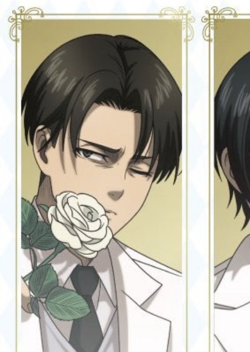 hourly levi tweet media