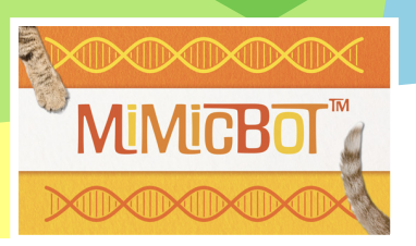 Wyckoff Summer Academies tweet media