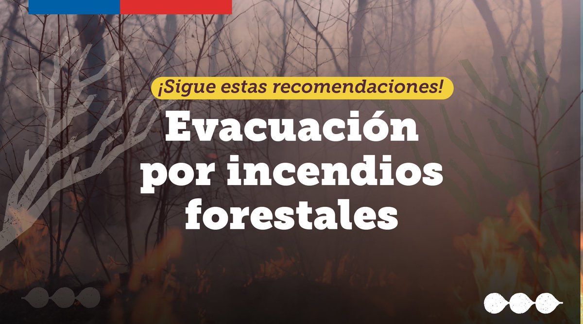 ⚠️Si estás ante una evacuación por #IncendiosForestales o cualquier emergencia, recuerda mantener la calma en todo momento y seguir estos pasos.