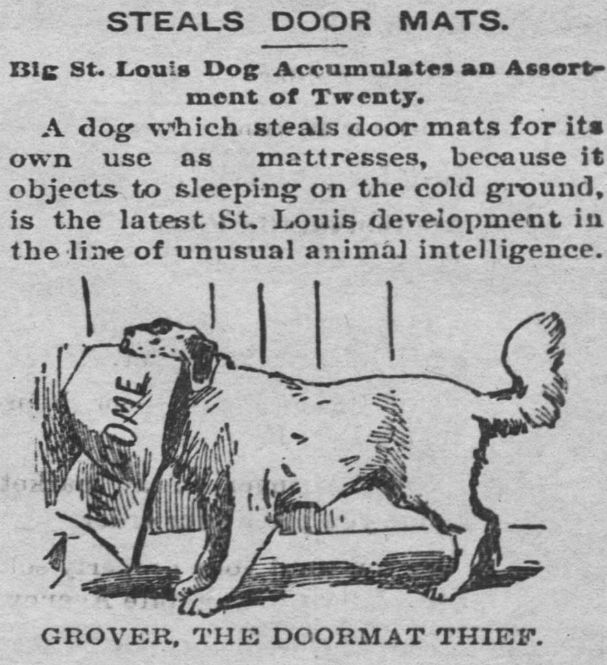 The Coffeyville Daily Journal, Kansas, March 6, 1897