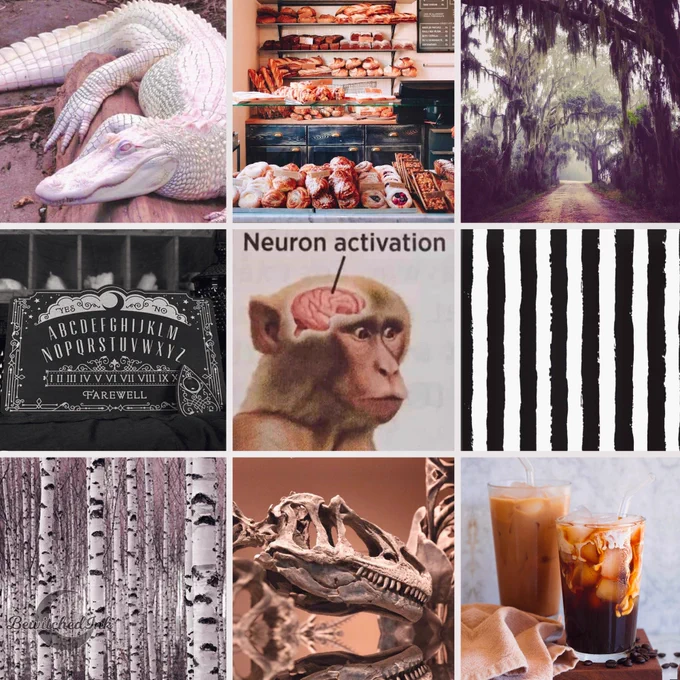 Just wants a moodboard with all my favs that I associate myself with 

Accidentally makes a silly `brain brrr' thing ✔️ 