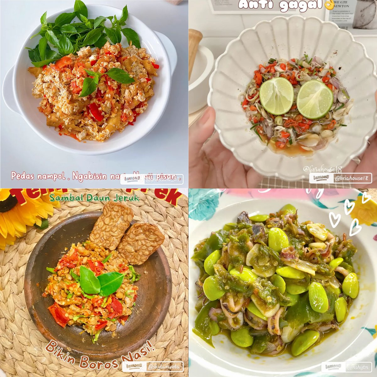 rekomendasishp's tweet photo. Kumpulan resep sambel penghabis nasi

A thread https://t.co/PWlEE8lLa7