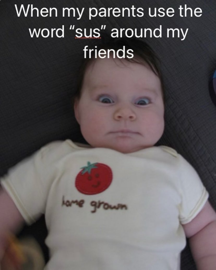 cococline tweet picture