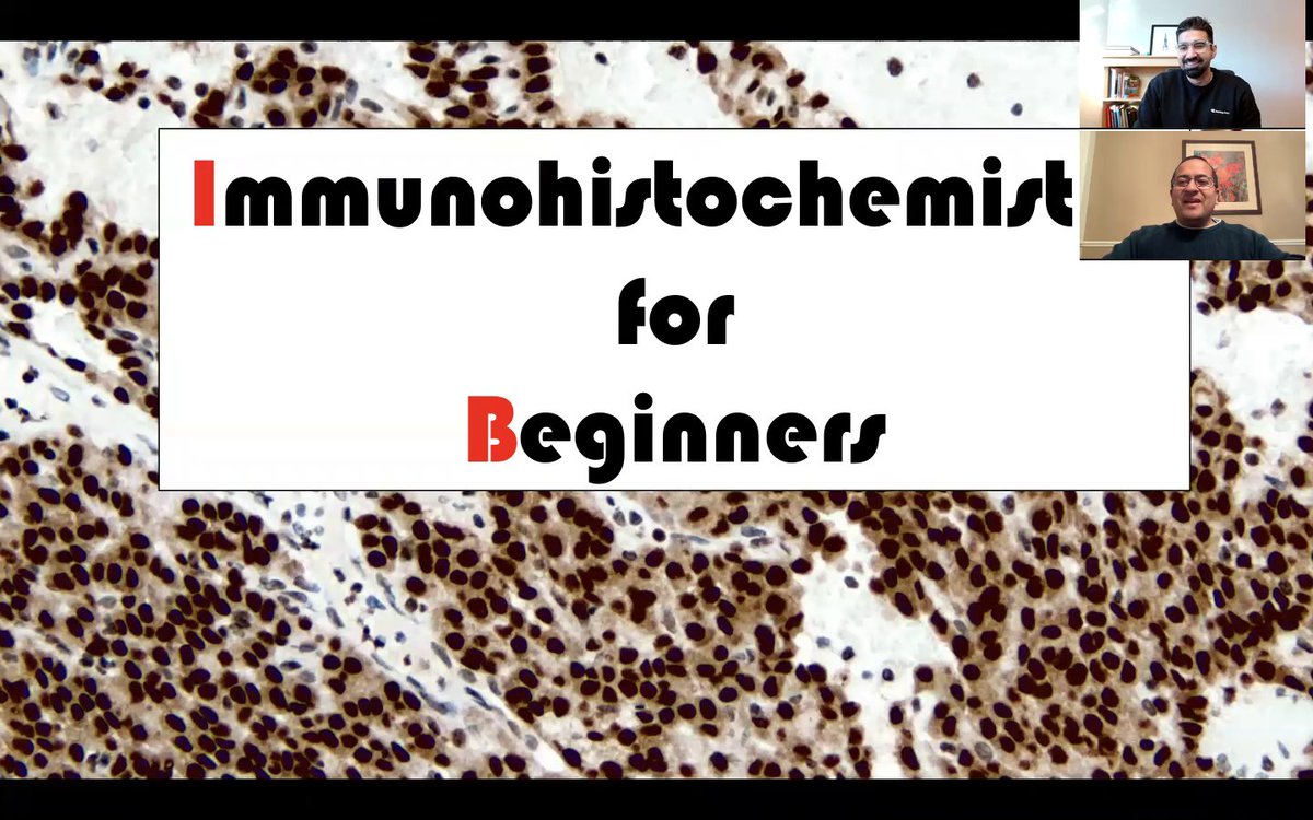 smlungpathguy's tweet photo. Immunohistochemistry Crash Course (free video):  https://t.co/DGEOUJN2wX https://t.co/E06zrpukBX